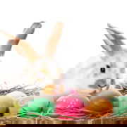 Remedy Lice Boutique lice don't hop like the Easter Bunny